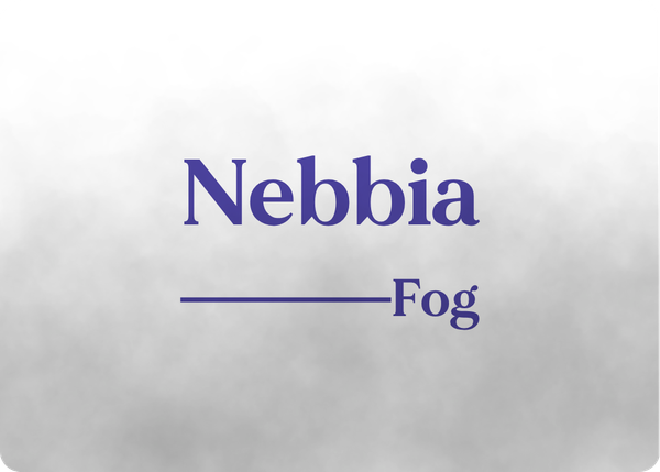 Nebbia (Fog)
