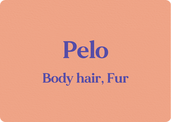 Pelo (Hair, Fur)
