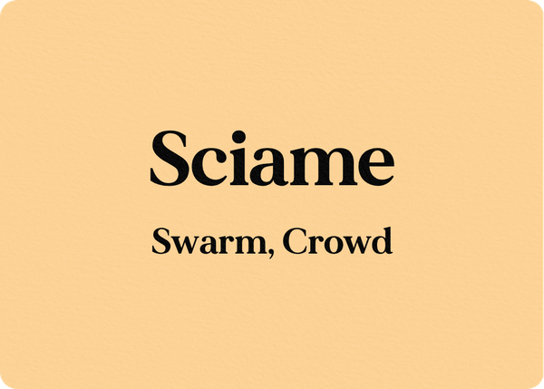Sciame (Swarm, Crowd)