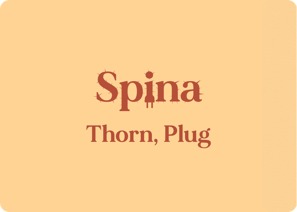Spina (Thorn, Plug)