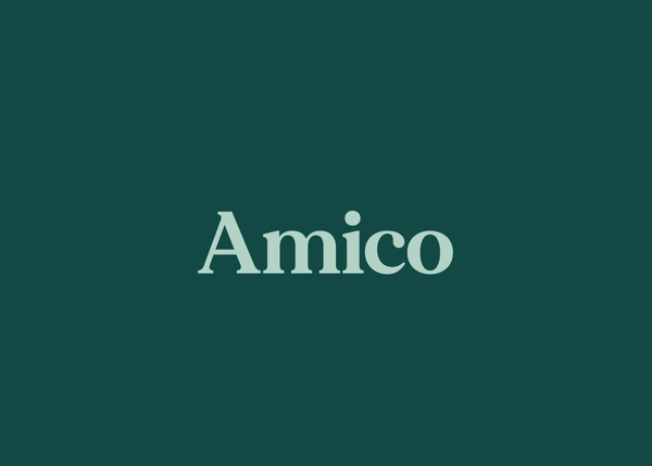 Amico (Friend)