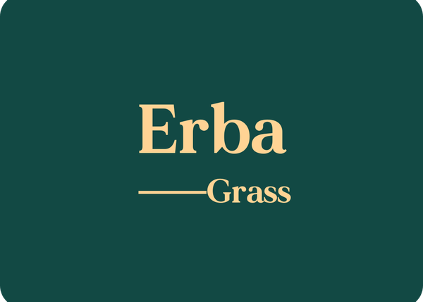 Erba (Grass)
