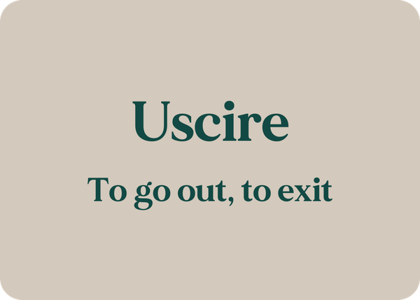 Uscire: Verb Conjugation
