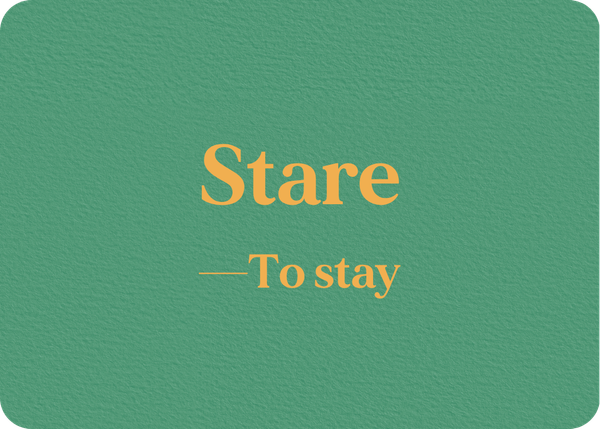 Stare: Verb Conjugation