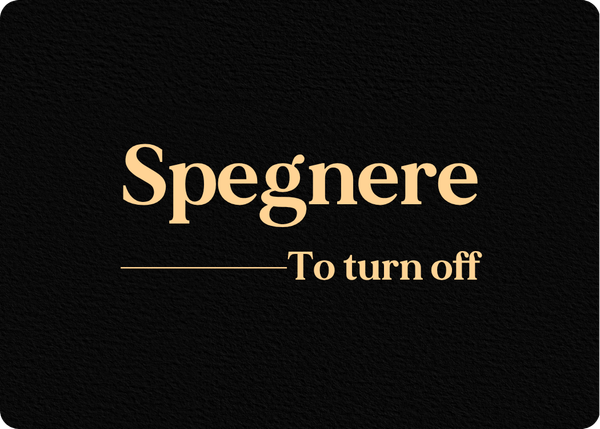 Spegnere: Verb Conjugation