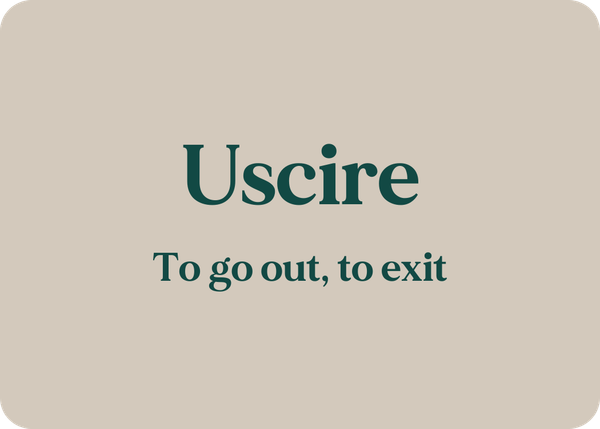 Uscire: Verb Conjugation